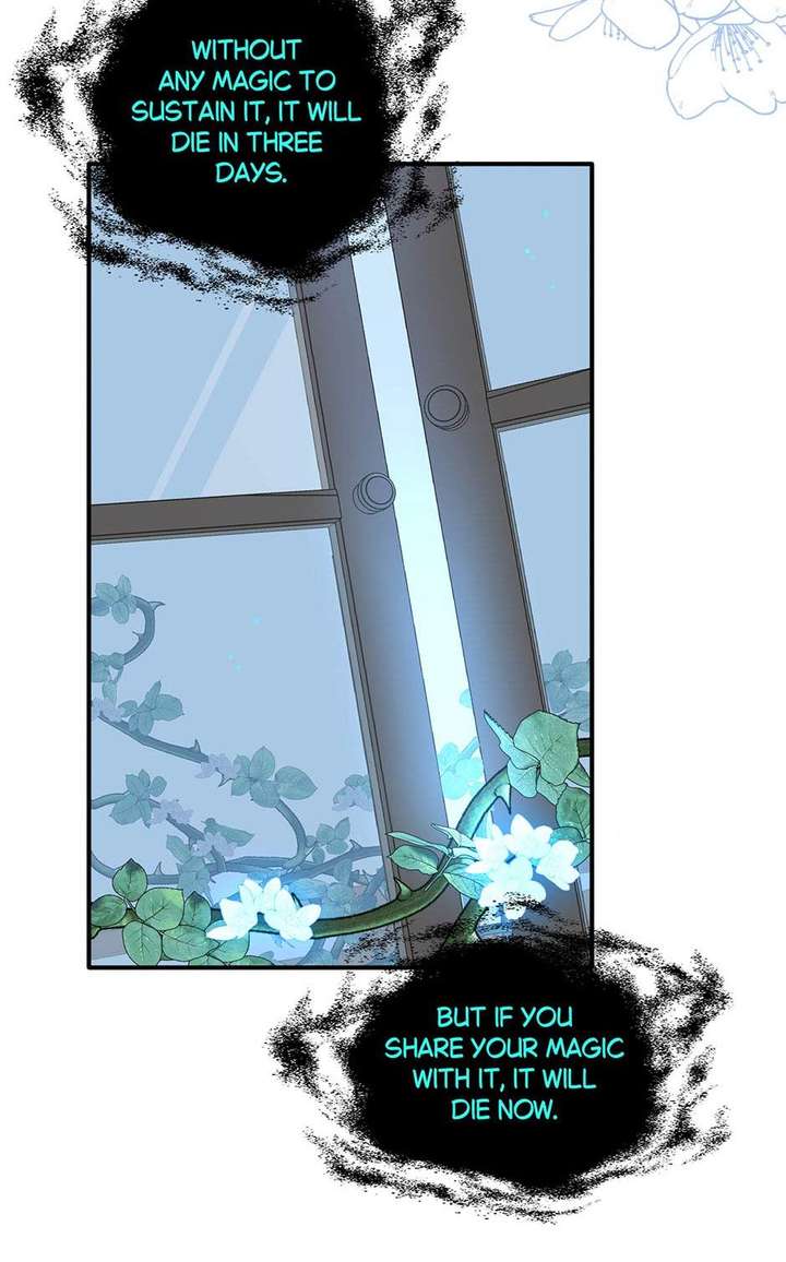 The Reborn Witch Raises a Templar chapter 12 page 34