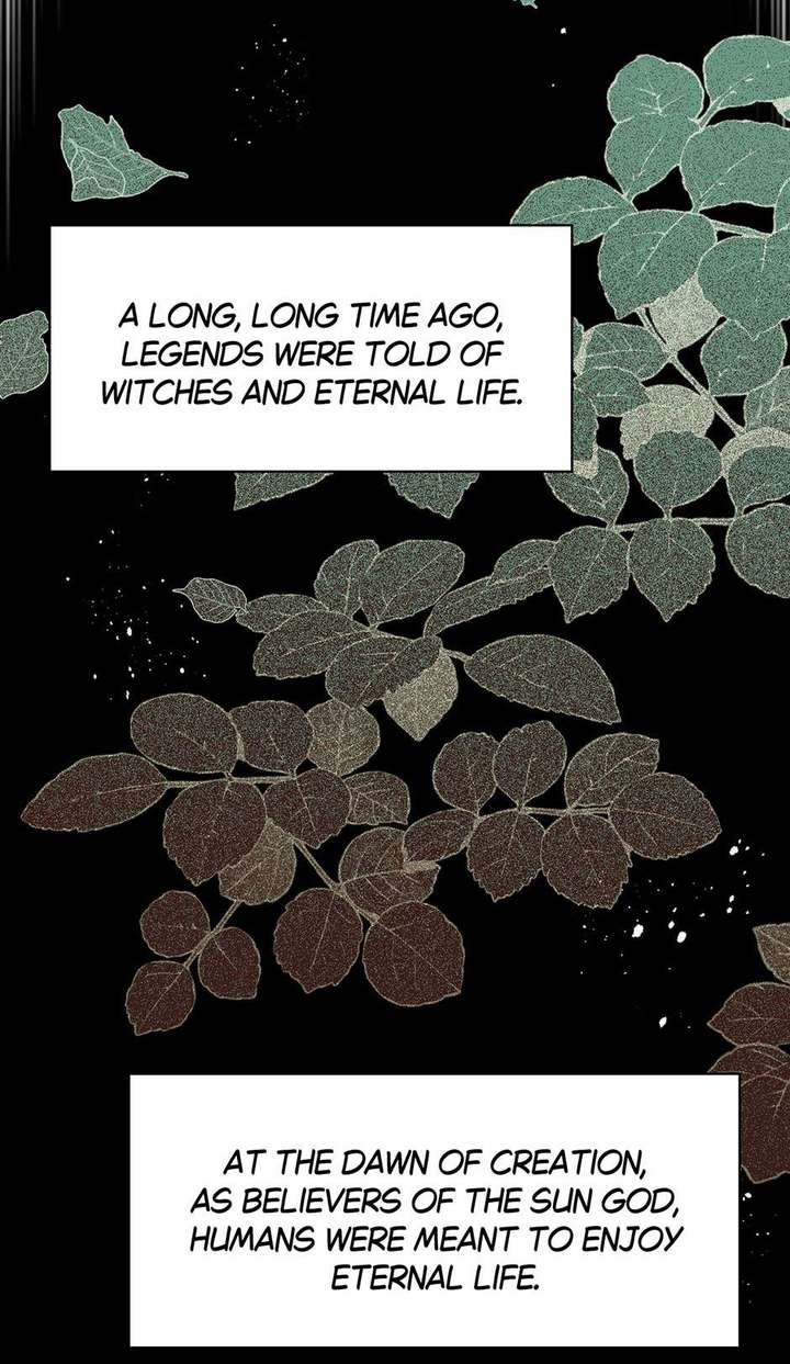 The Reborn Witch Raises a Templar chapter 28 page 8