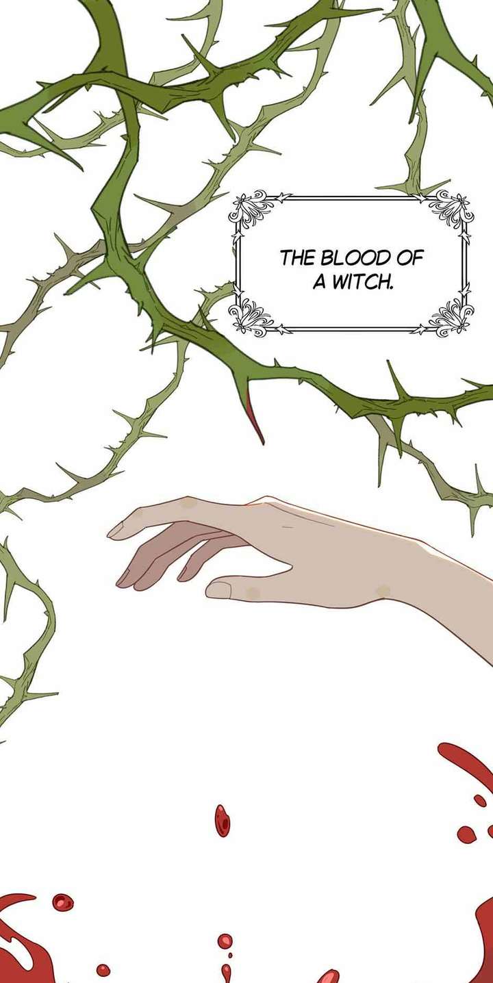 The Reborn Witch Raises a Templar chapter 29 page 3