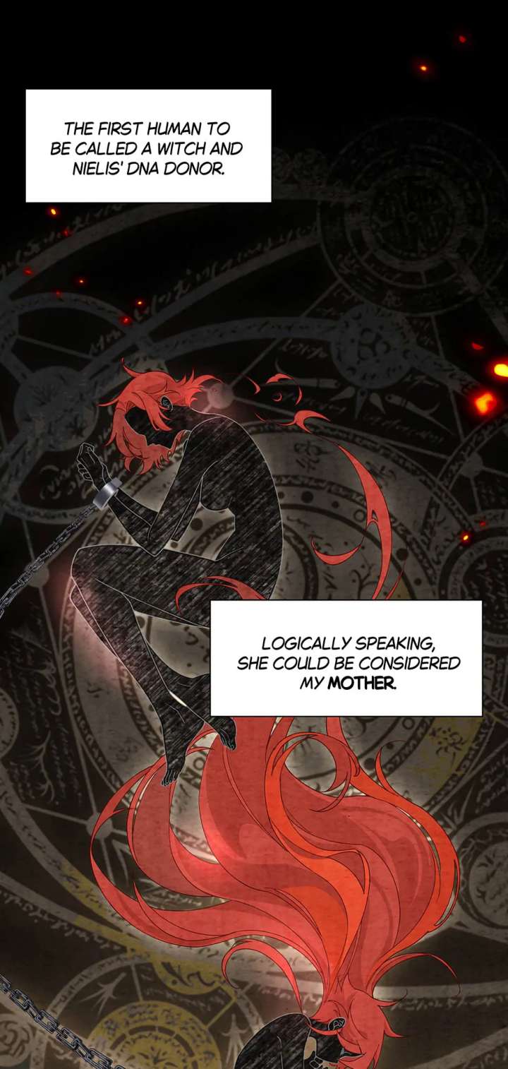 The Reborn Witch Raises a Templar chapter 41 page 10