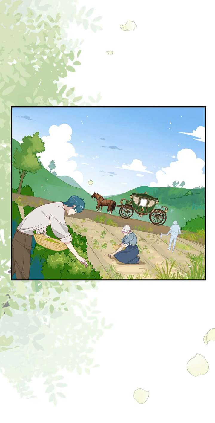 The Reborn Witch Raises a Templar chapter 42 page 14