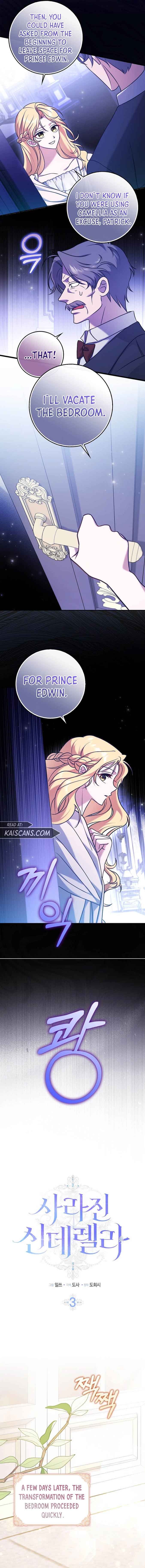 The Lost Cinderella chapter 3 page 3