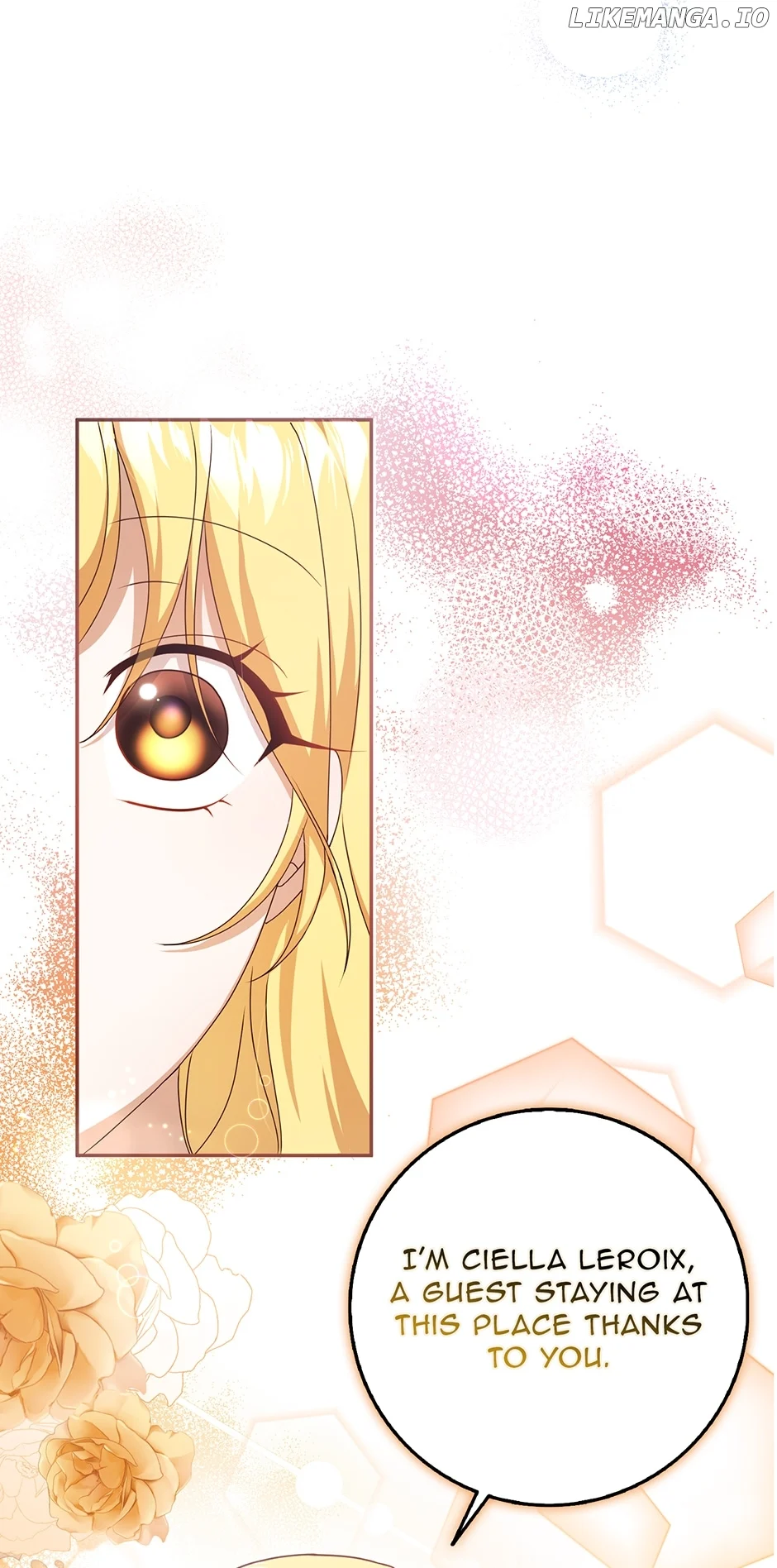 The Lost Cinderella chapter 40 page 68