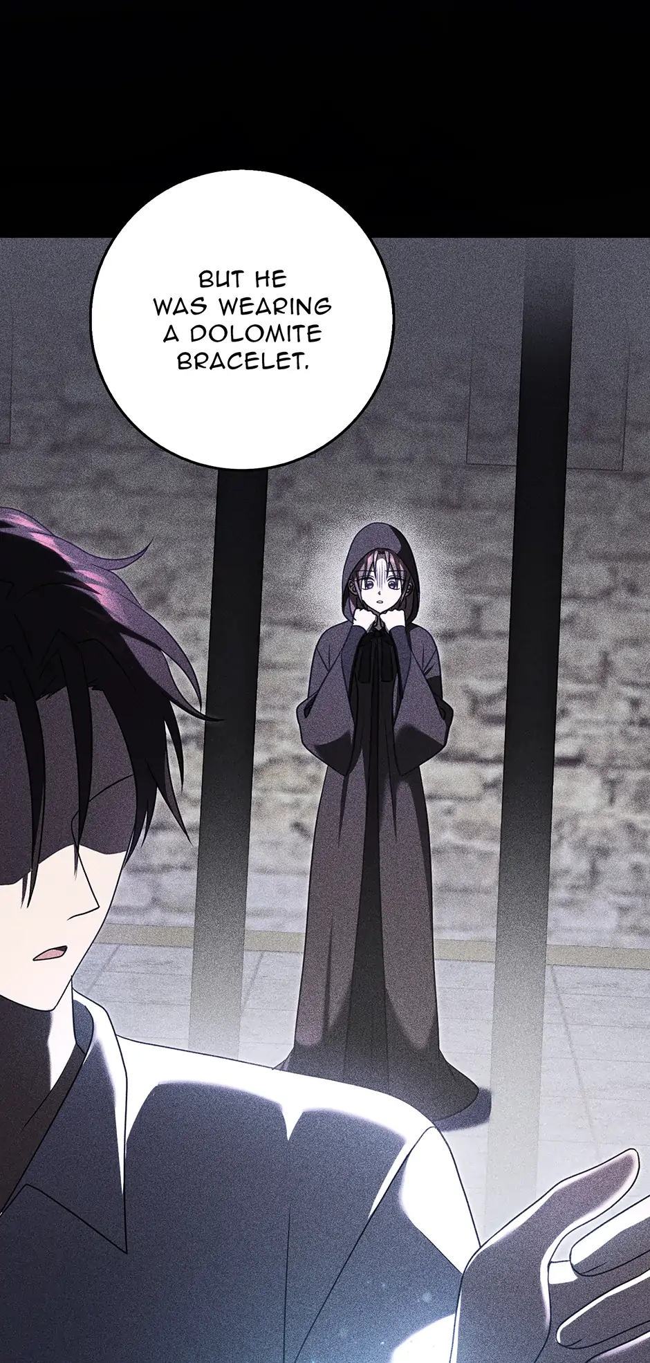 The Lost Cinderella chapter 45 page 29