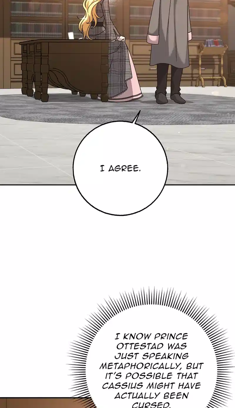 The Lost Cinderella chapter 48 page 29