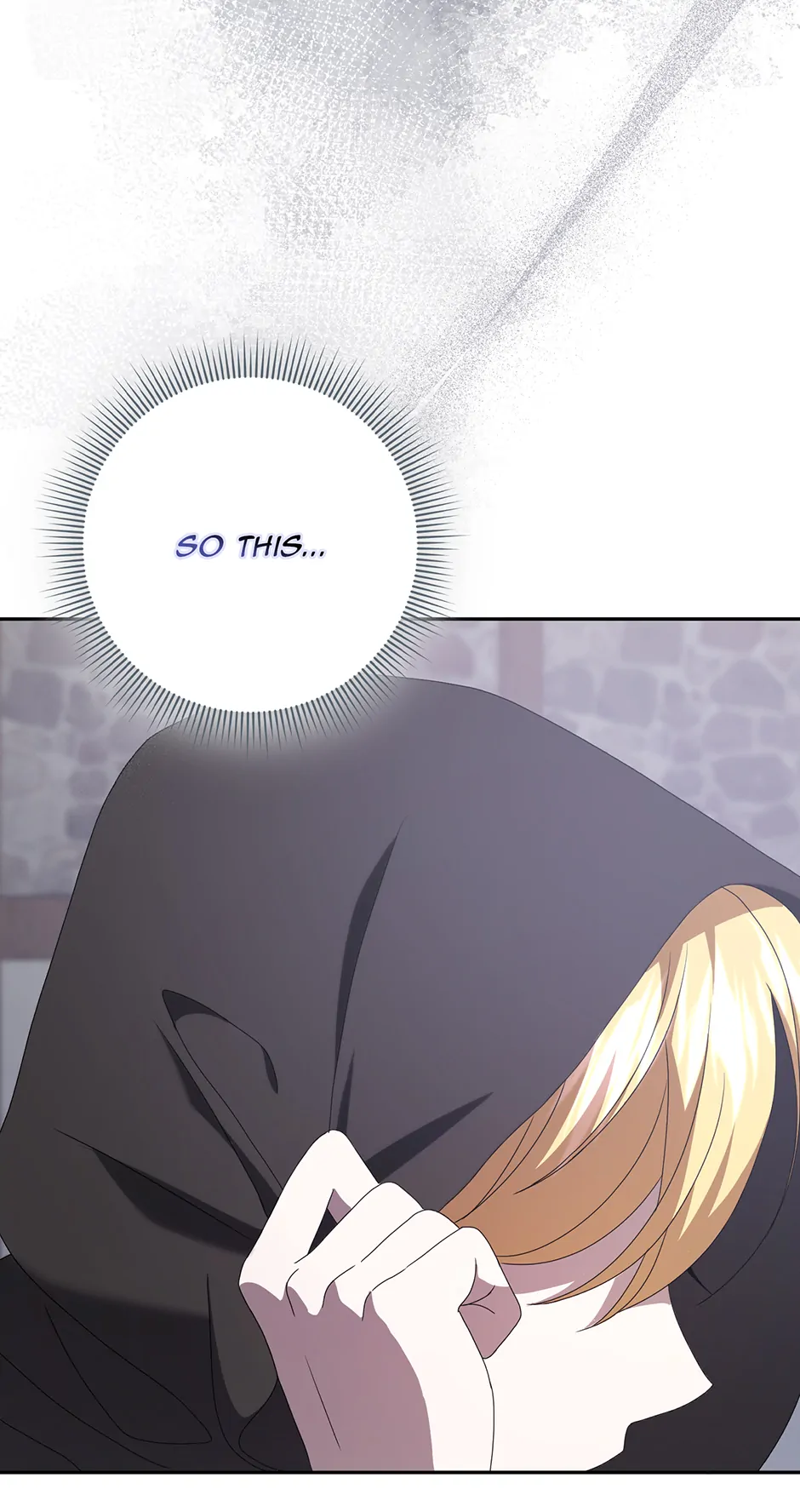 The Lost Cinderella chapter 63 page 74