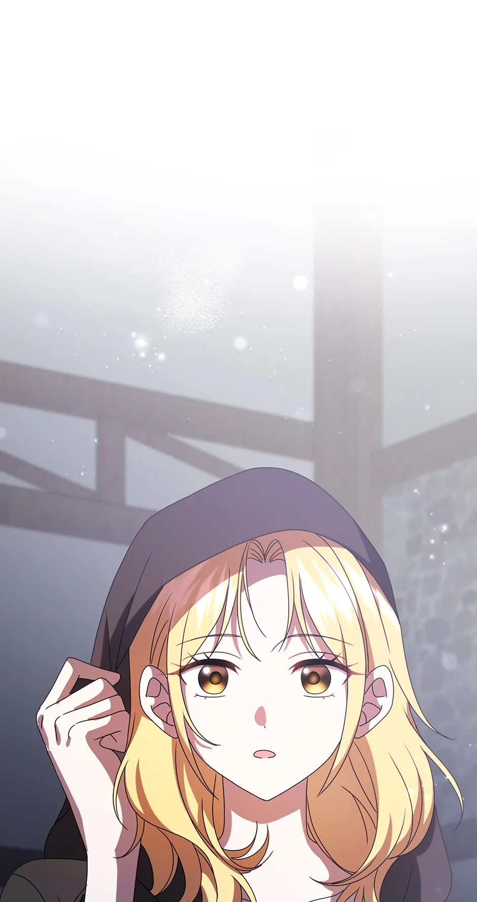 The Lost Cinderella chapter 63 page 75