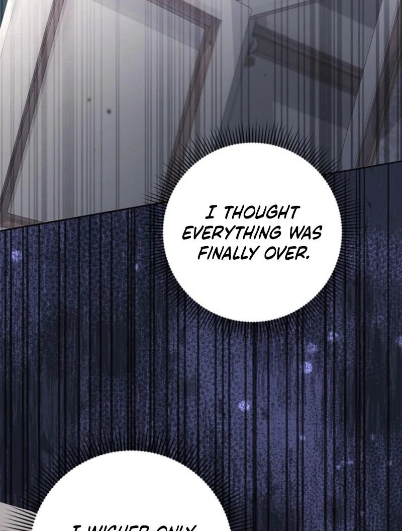 The Lost Cinderella chapter 73 page 19