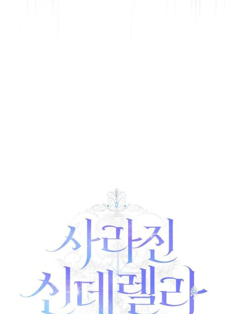 The Lost Cinderella chapter 73 page 27