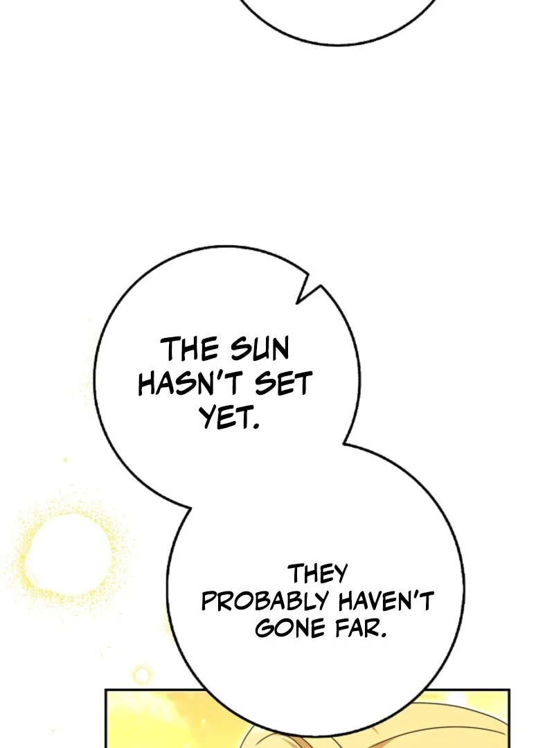 The Lost Cinderella chapter 79 page 71
