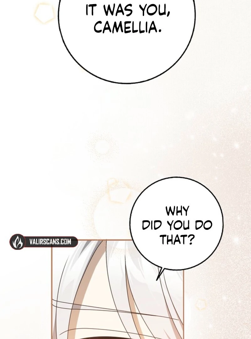 The Lost Cinderella chapter 83 page 71