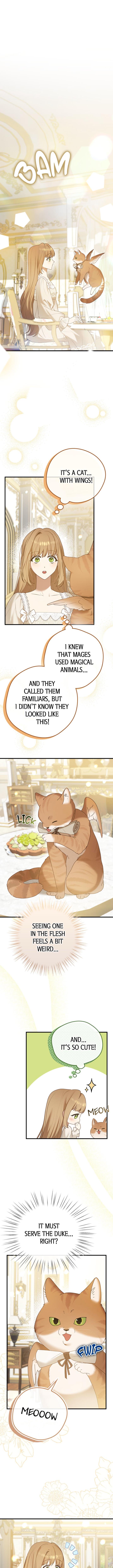 A Golden Fate That Transcends Time chapter 13 page 1