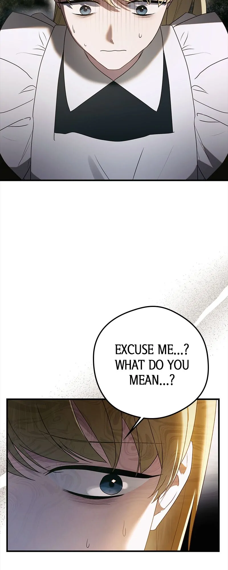 A Golden Fate That Transcends Time chapter 30 page 16