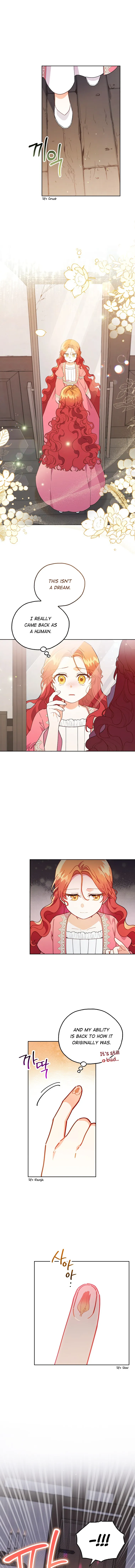 The Little Lord Who Makes Flowers Bloom chapter 2 page 12