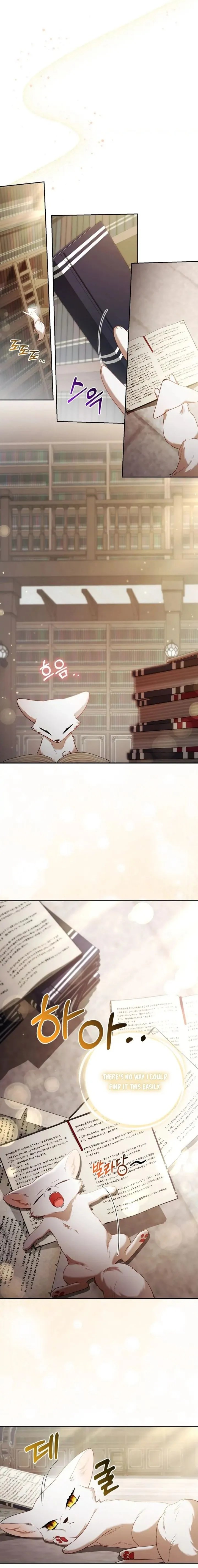 The Duke and The Fox Princess chapter 18 page 6