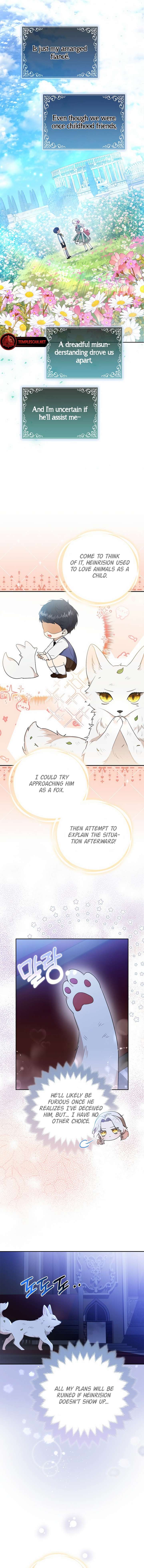 The Duke and The Fox Princess chapter 2 page 14