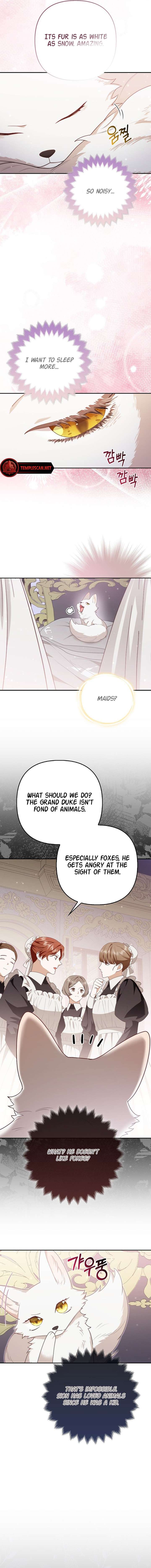 The Duke and The Fox Princess chapter 4 page 3