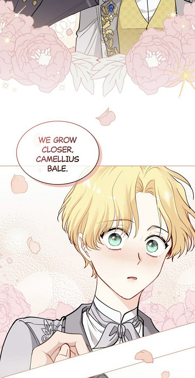 Finding Camellia chapter 13 page 33