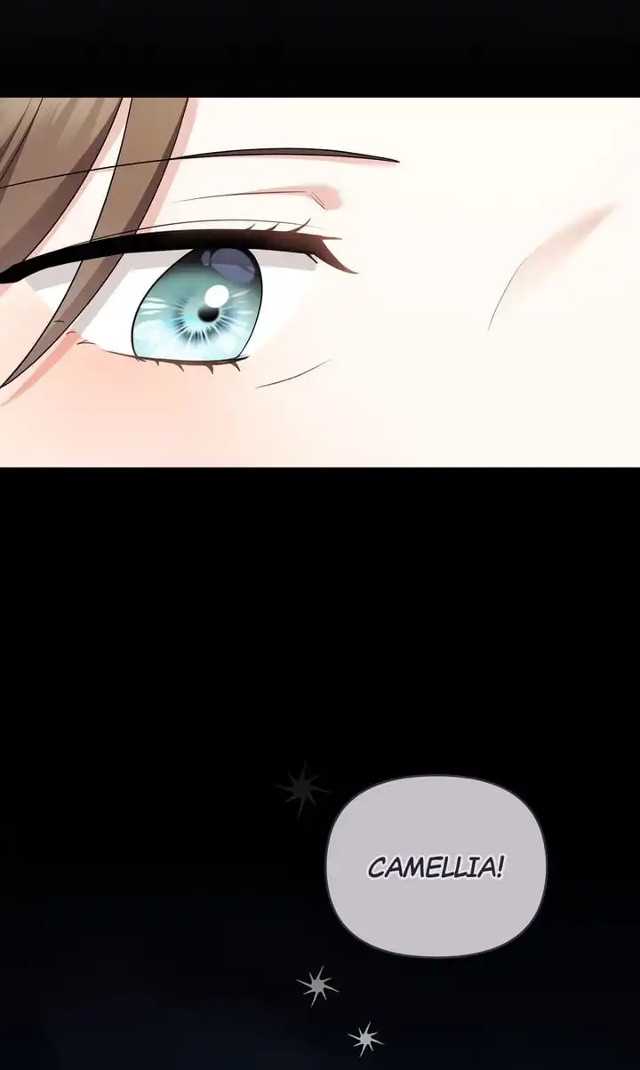 Finding Camellia chapter 134 page 37