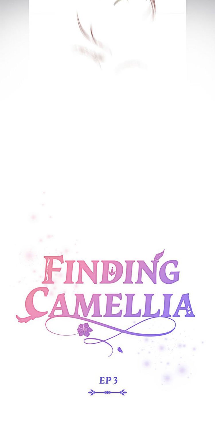 Finding Camellia chapter 3 page 41