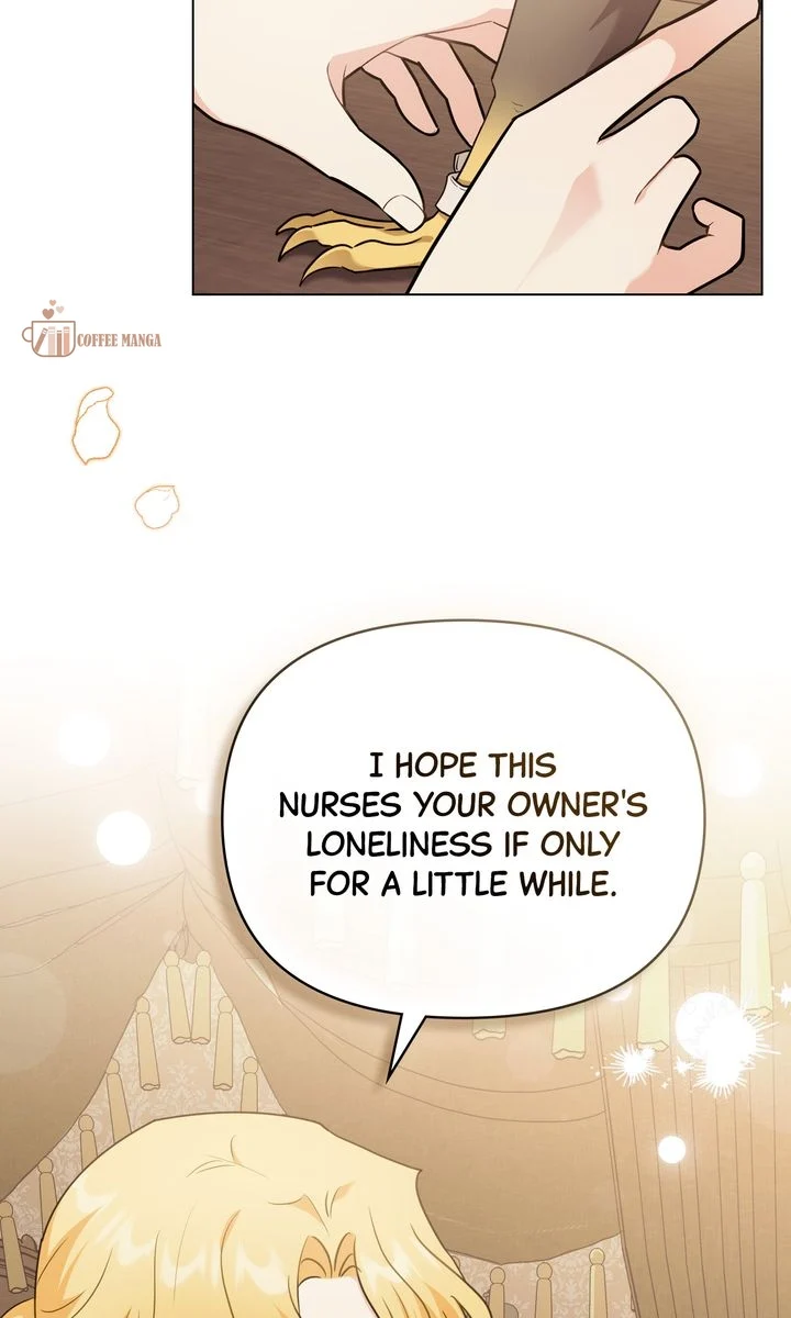 Finding Camellia chapter 96.4 page 43