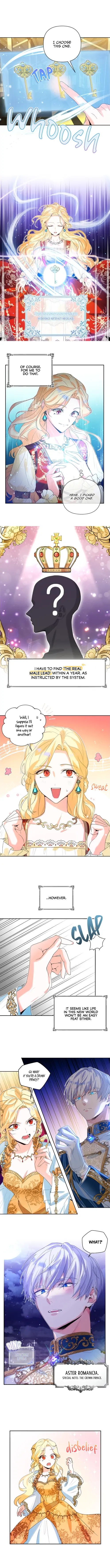 There Are Too Many Second Male Leads! chapter 0 page 2