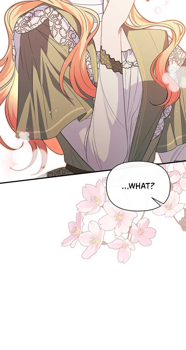There Are Too Many Second Male Leads! chapter 13 page 64