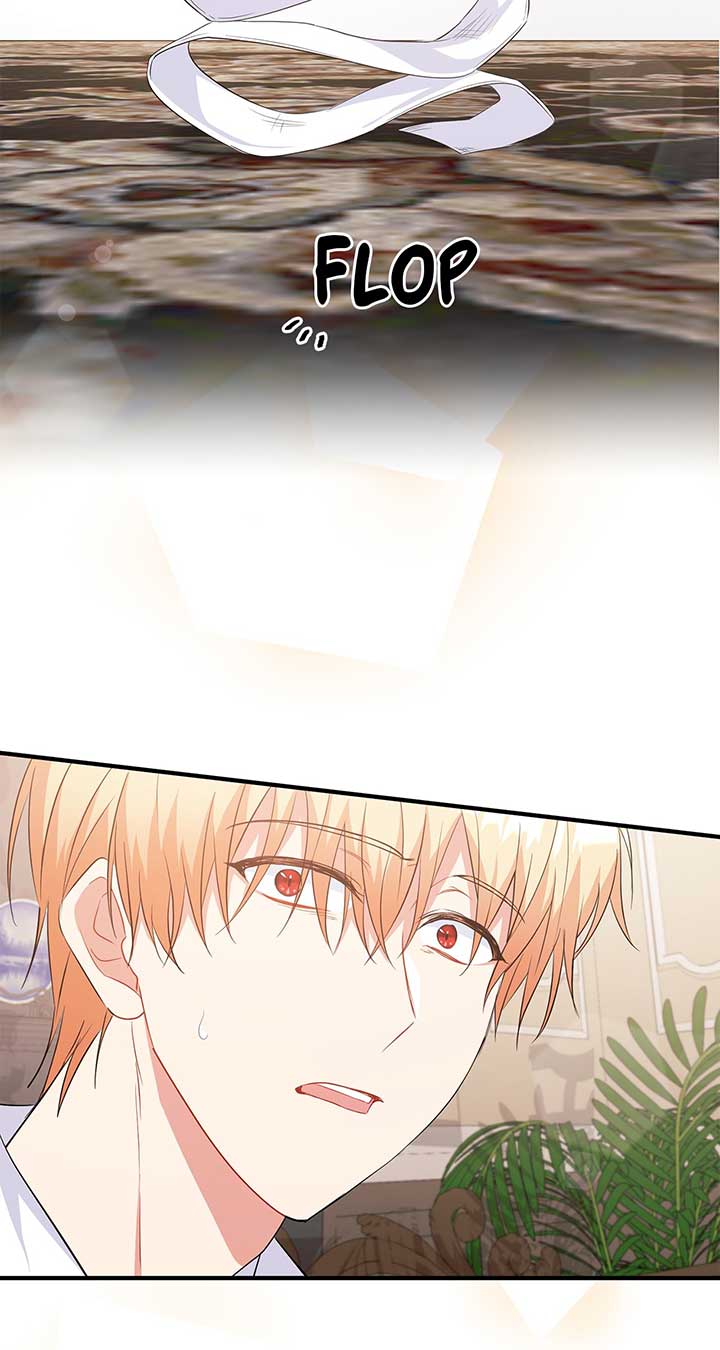 There Are Too Many Second Male Leads! chapter 13 page 73