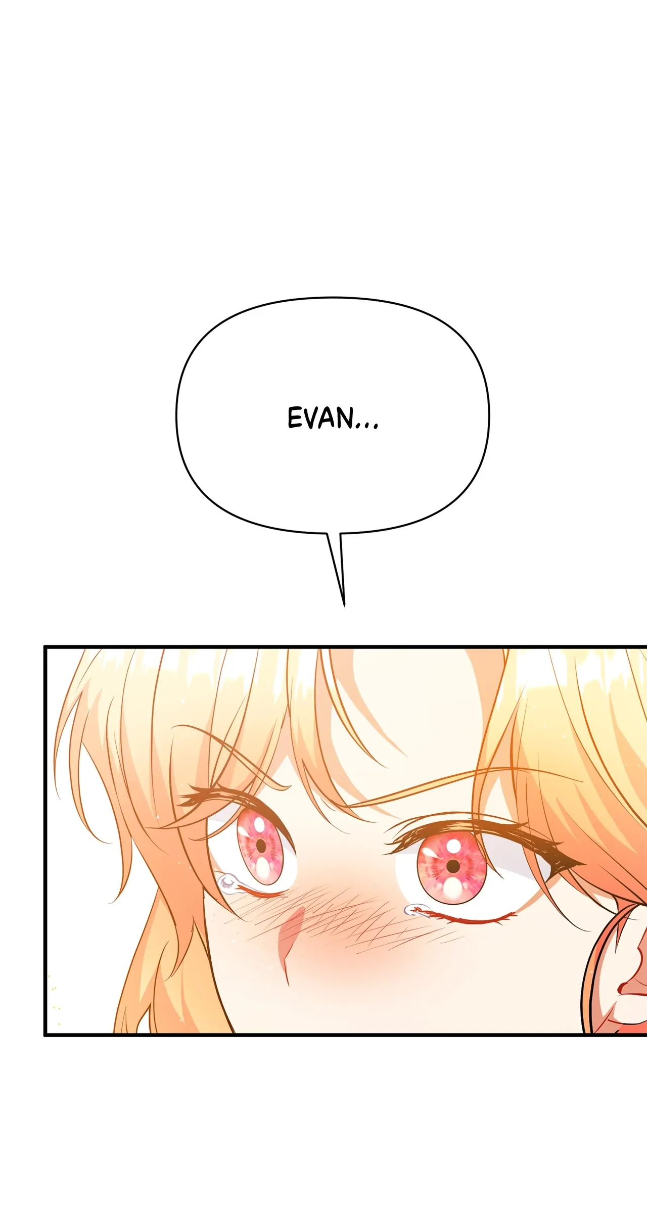 There Are Too Many Second Male Leads! chapter 15 page 17