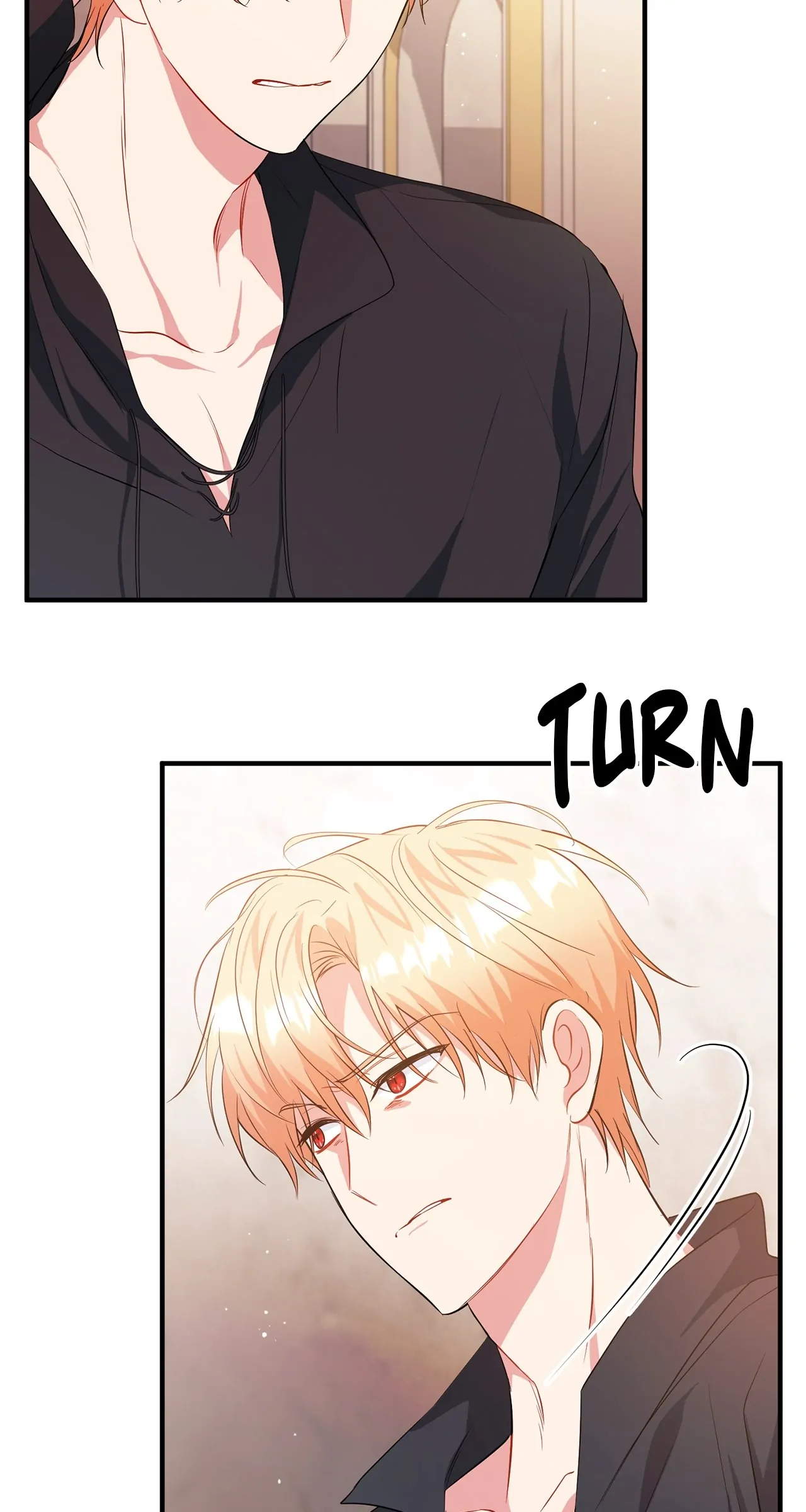 There Are Too Many Second Male Leads! chapter 15 page 32