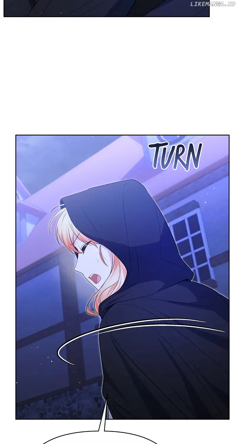 There Are Too Many Second Male Leads! chapter 24 page 30