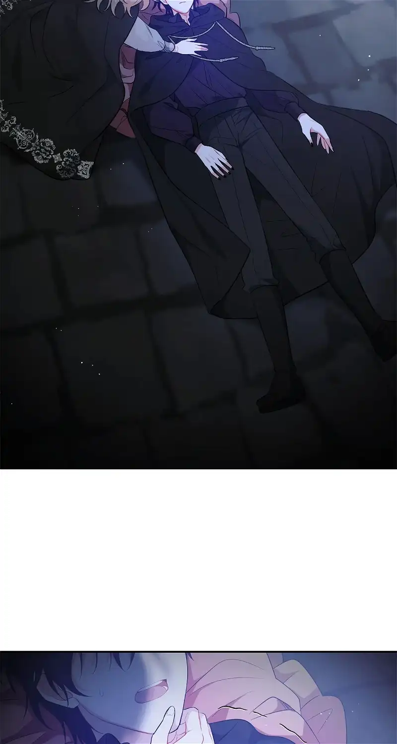 There Are Too Many Second Male Leads! chapter 25 page 64
