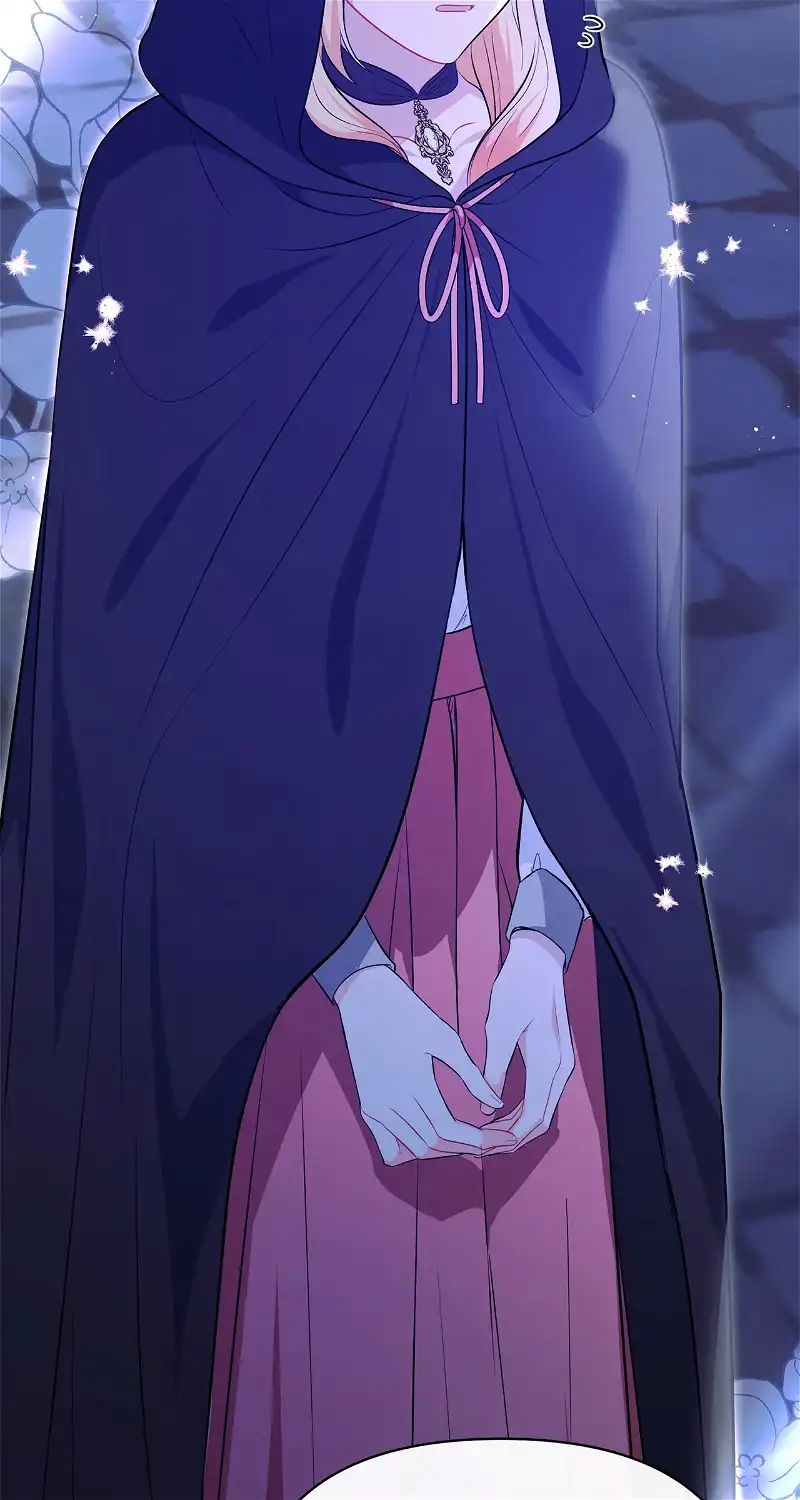 There Are Too Many Second Male Leads! chapter 25 page 112