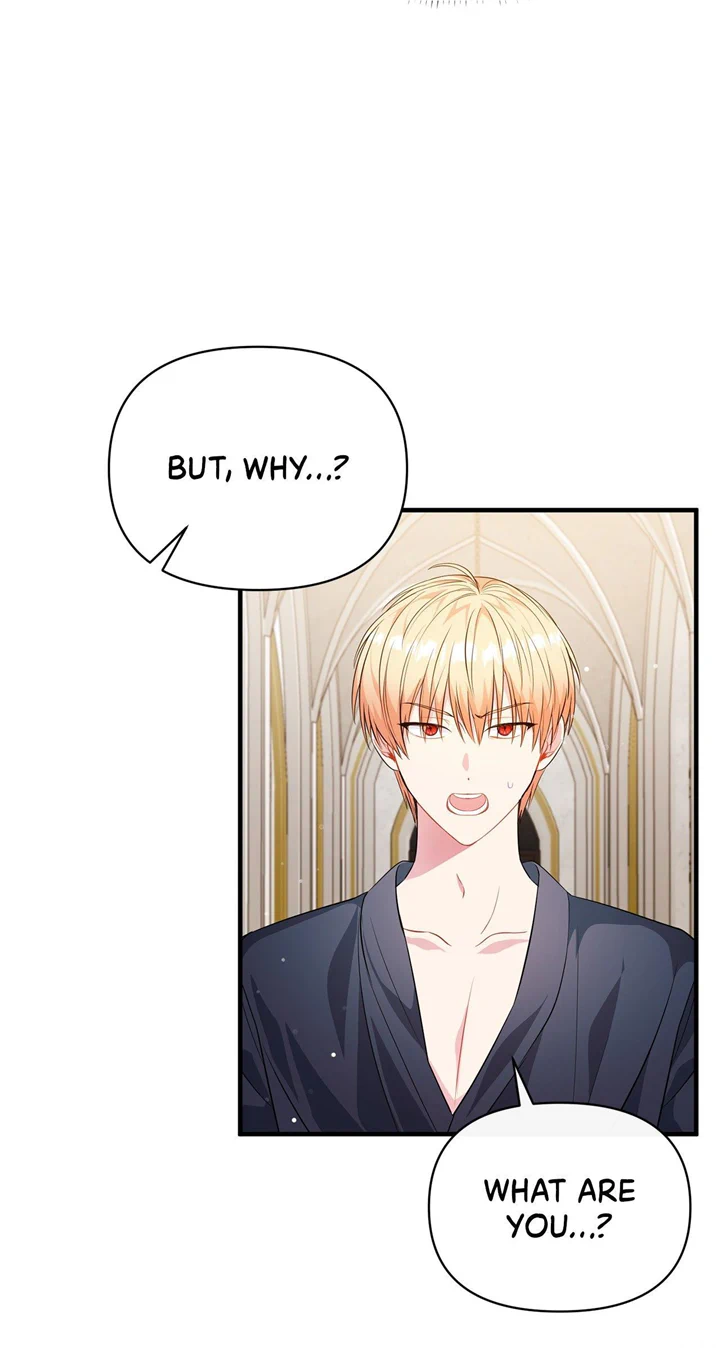 There Are Too Many Second Male Leads! chapter 4 page 41