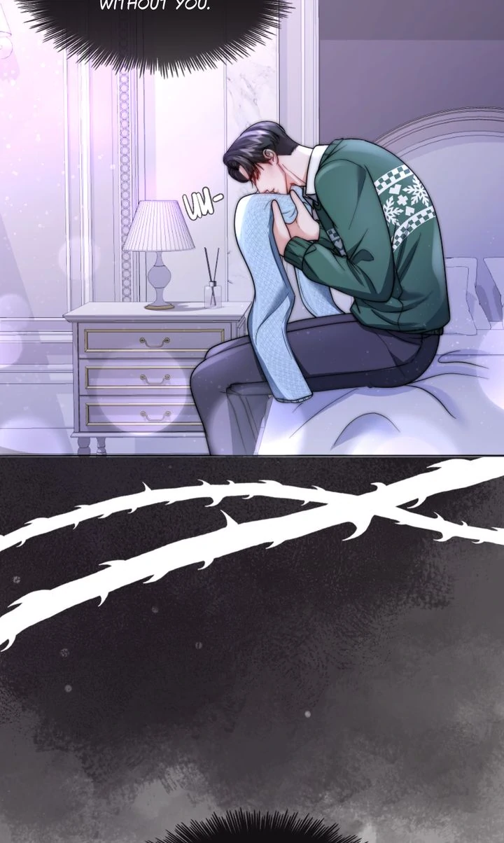 The Billionaire’s Replacement Wife chapter 19 page 11