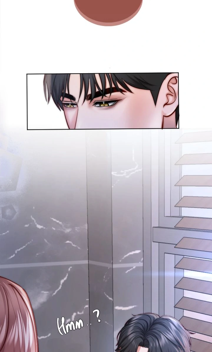 The Billionaire’s Replacement Wife chapter 30 page 15