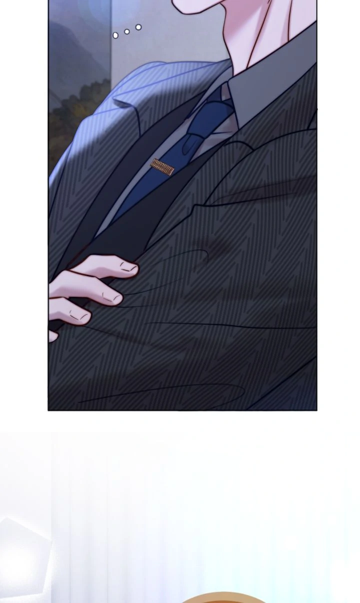 The Billionaire’s Replacement Wife chapter 32 page 31