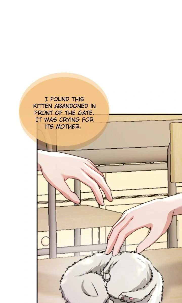 The Billionaire’s Replacement Wife chapter 34 page 55