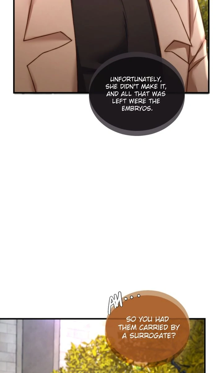 The Billionaire’s Replacement Wife chapter 35 page 17