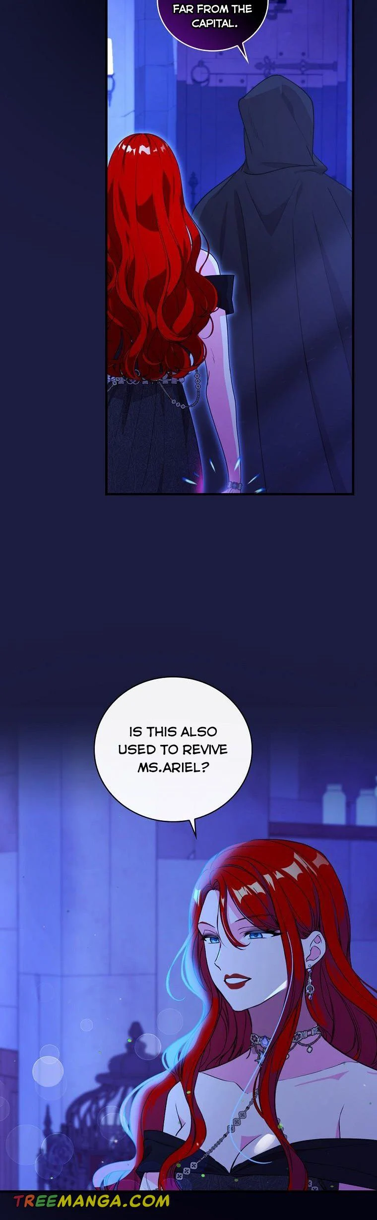 Ice Flower Knight chapter 66 page 35