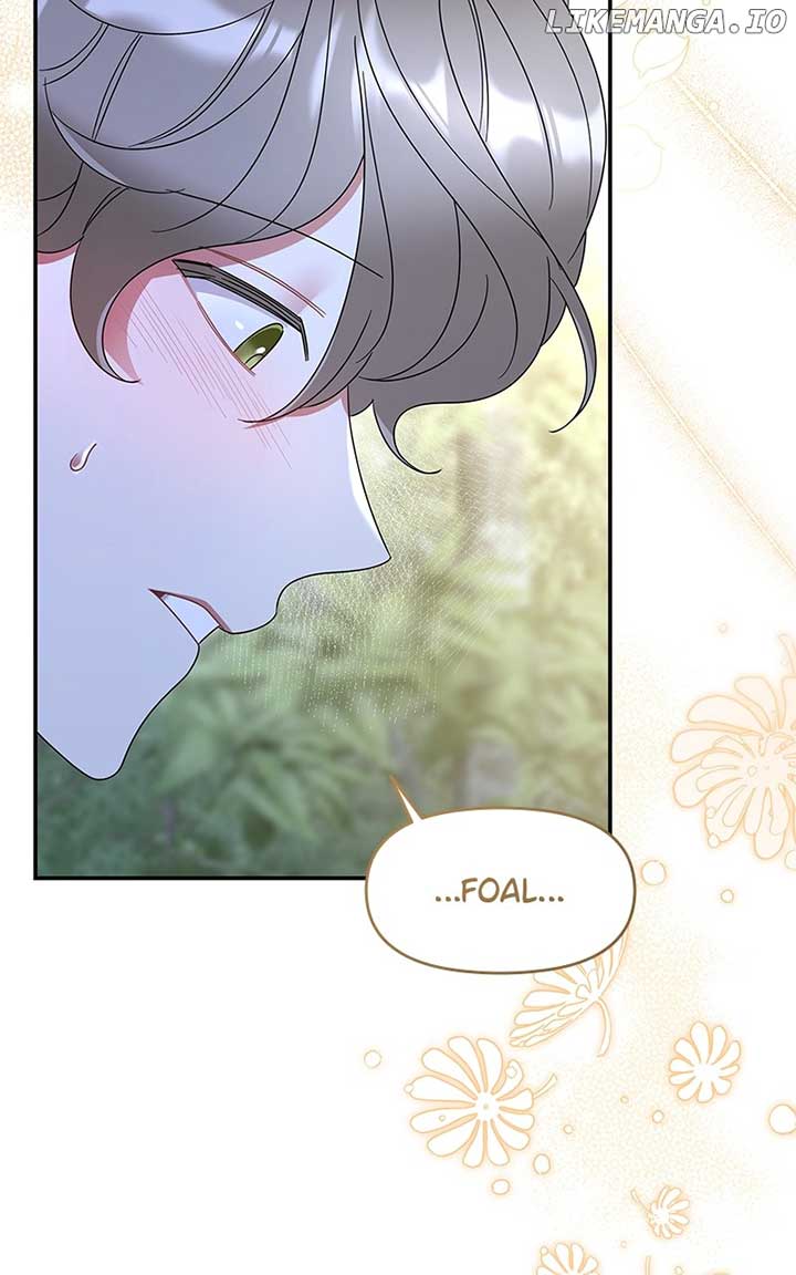 Don’t Grab the Broken Branch chapter 39 page 49