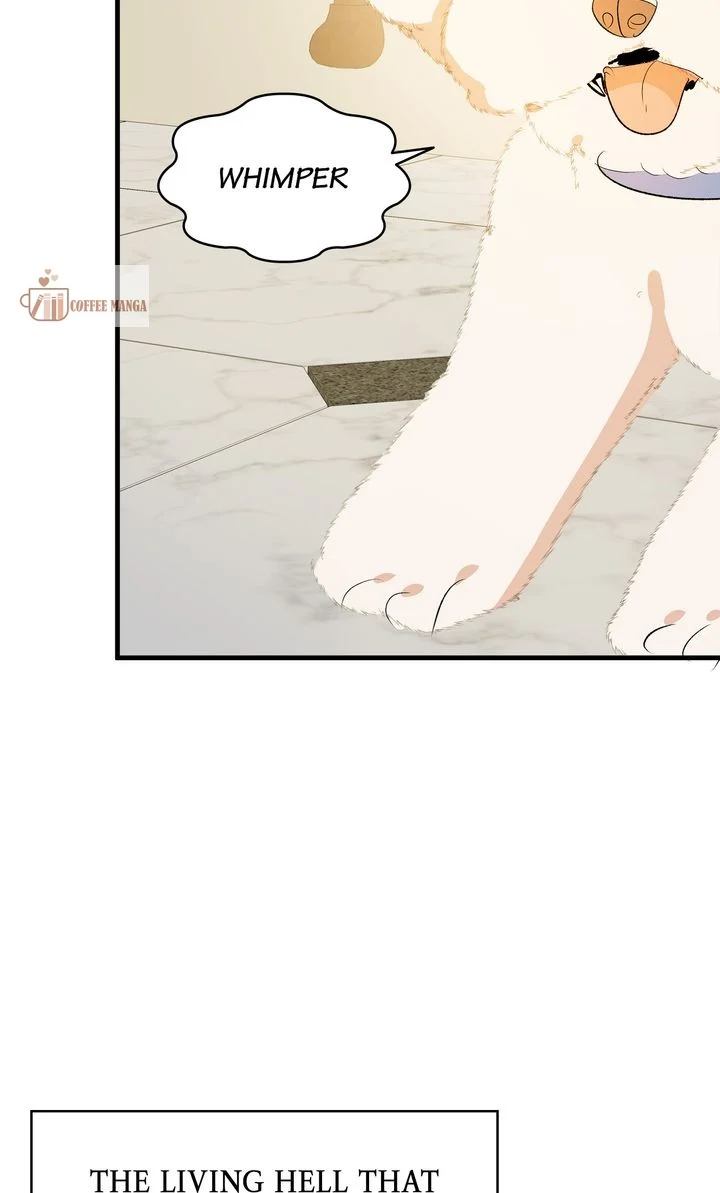 If You Want a Fake Sister chapter 36 page 39