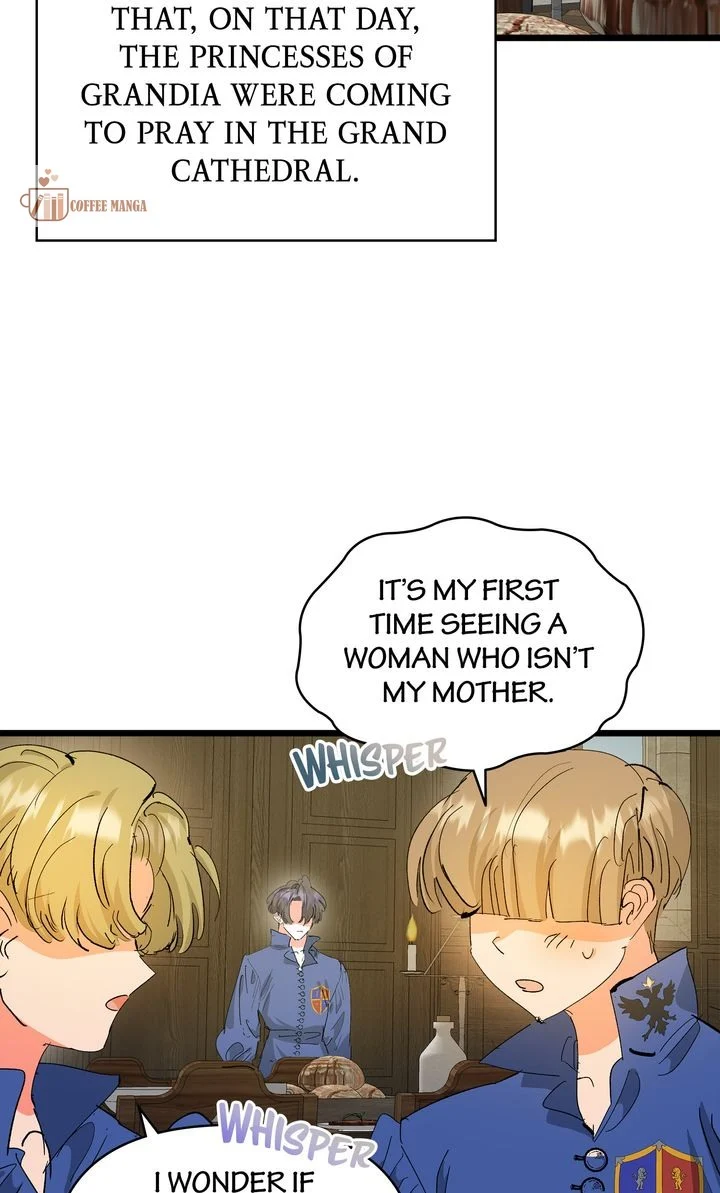 If You Want a Fake Sister chapter 46 page 14