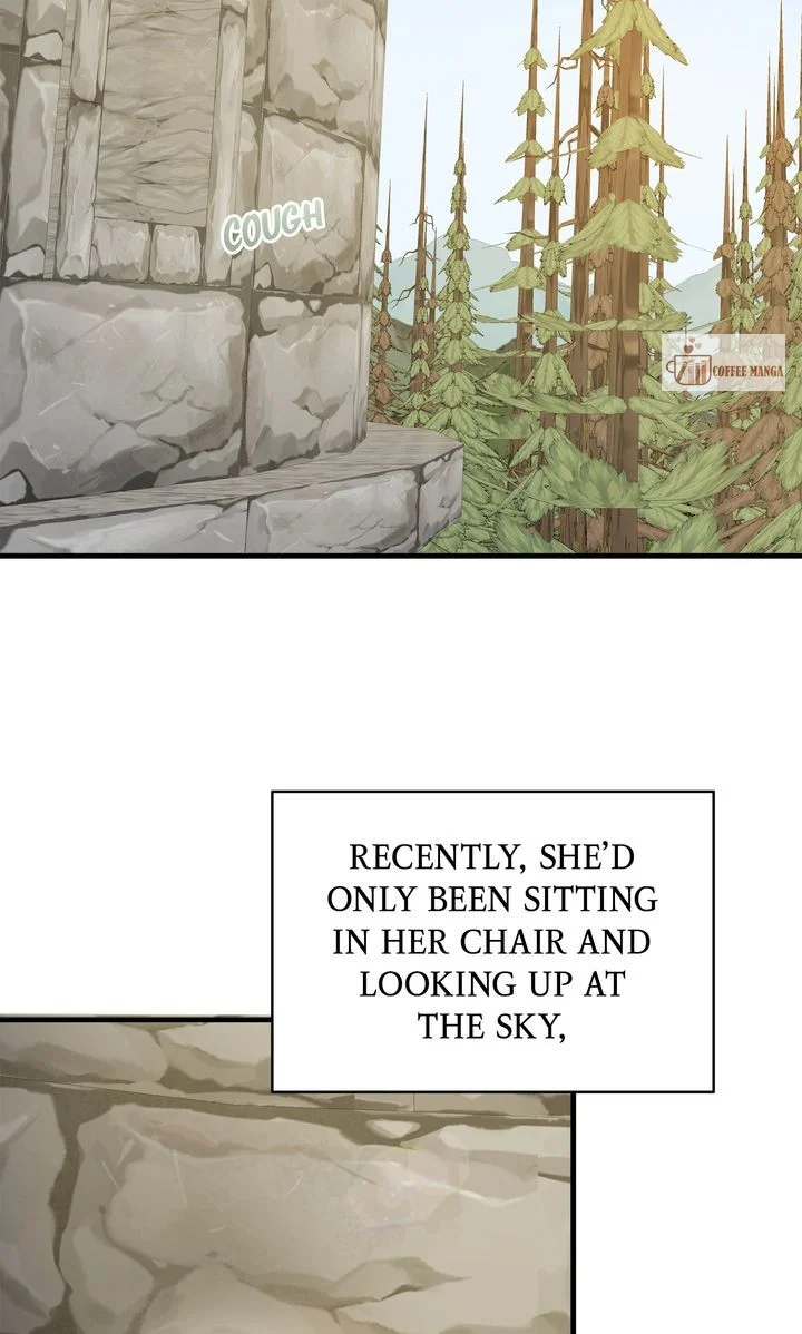 If You Want a Fake Sister chapter 49 page 4