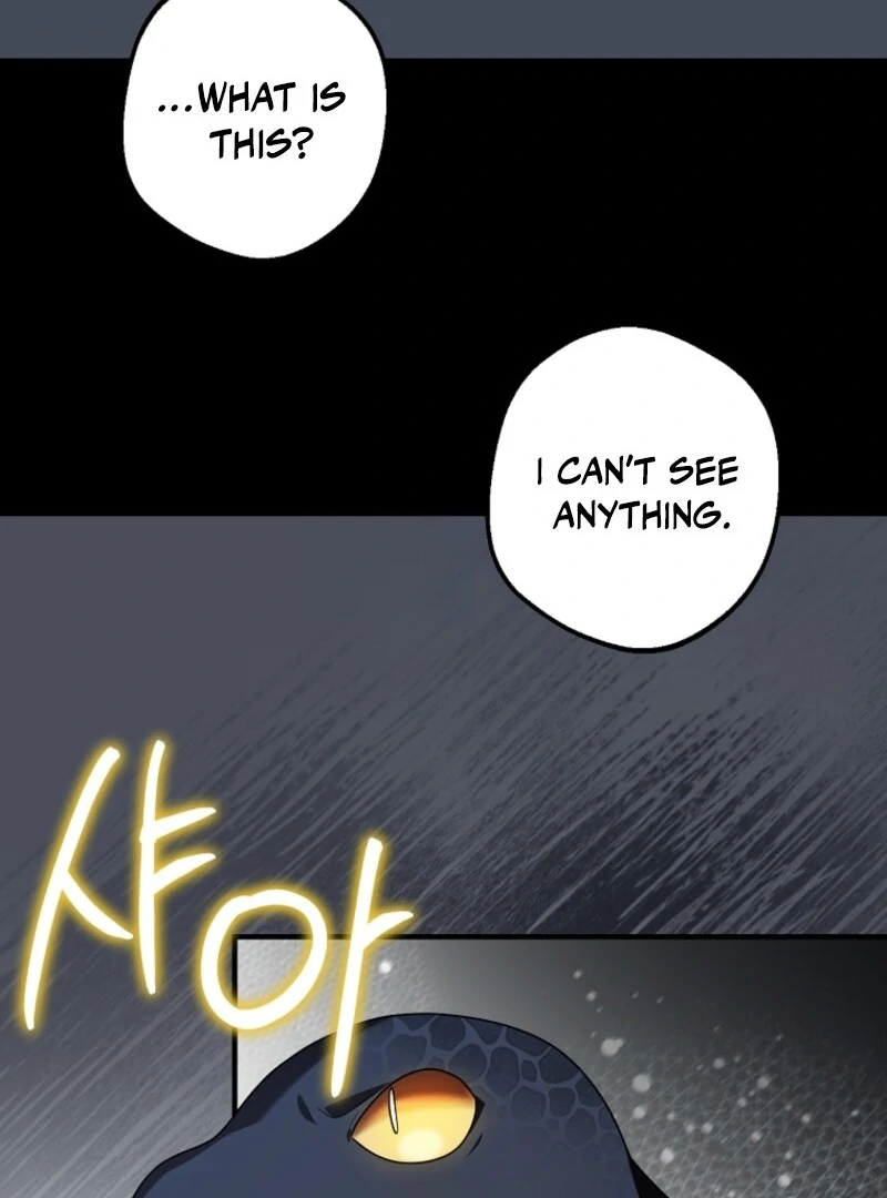 Screw the Noble Life, I’m Going Home chapter 66 page 71