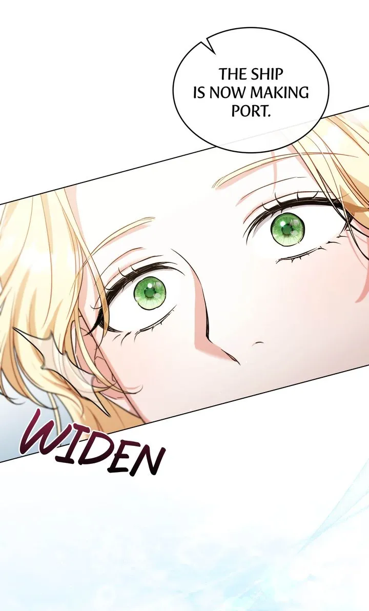 My Sweet Enemy, Thy Name is Husband chapter 14.5 page 41