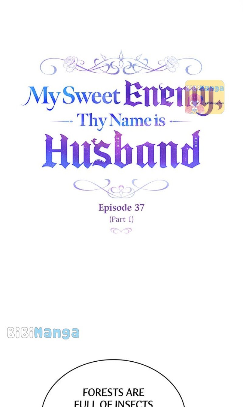 My Sweet Enemy, Thy Name is Husband chapter 37 page 6