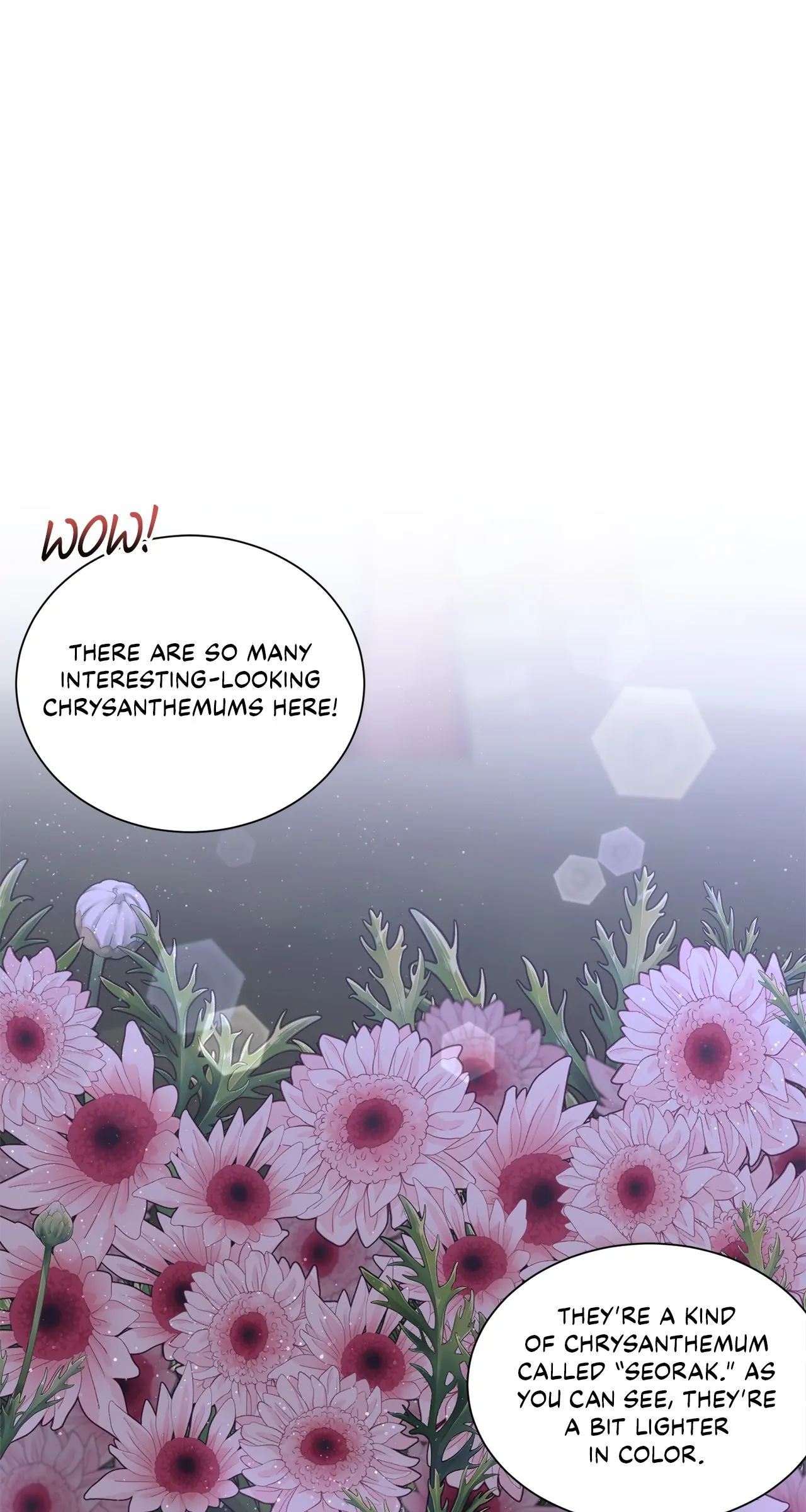 Fake Wife chapter 27 page 1