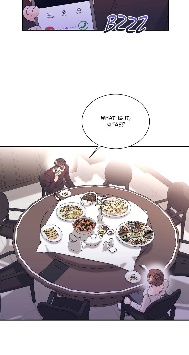 Fake Wife chapter 39 page 47