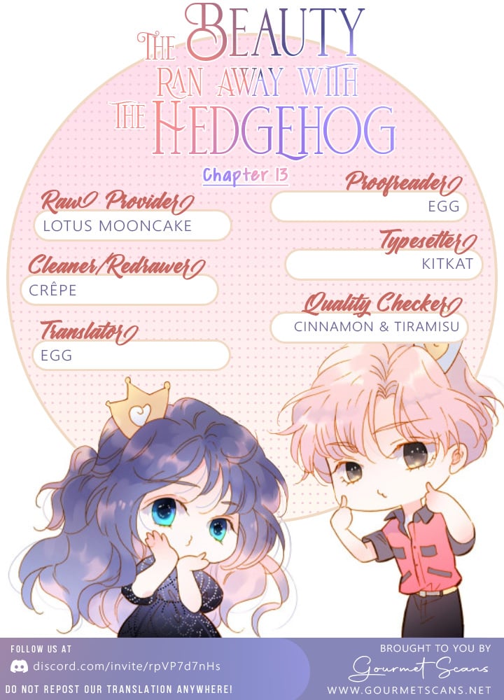The Beauty Ran Away With The Hedgehog chapter 13 page 17